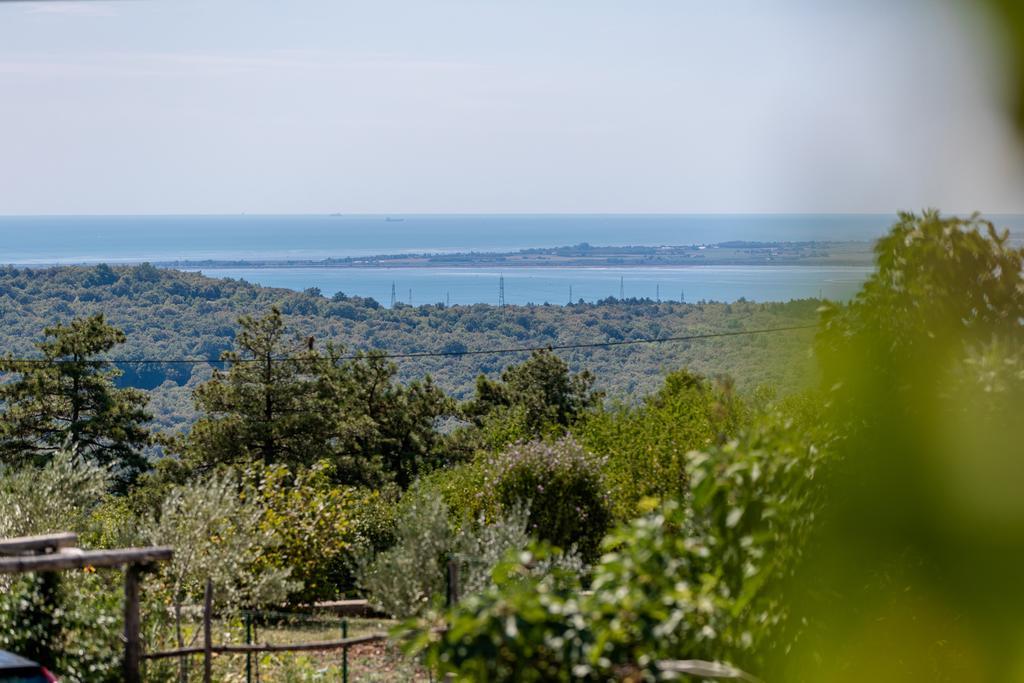 Vila Sistiana Kostanjevica na Krasu Exteriér fotografie