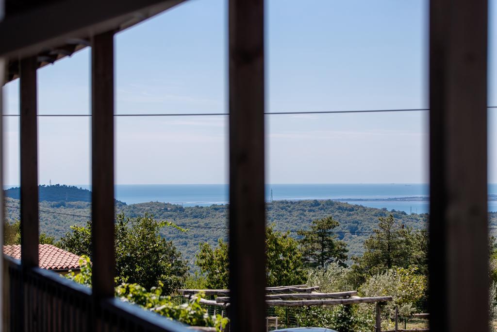 Vila Sistiana Kostanjevica na Krasu Exteriér fotografie